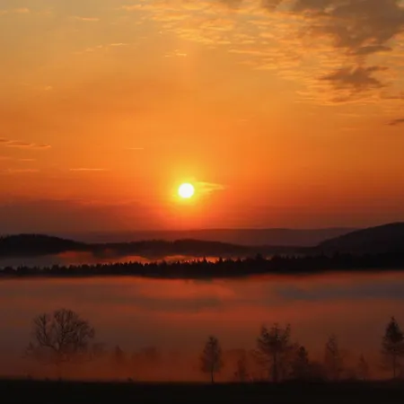 Am Kanadablick * Stutzengrun