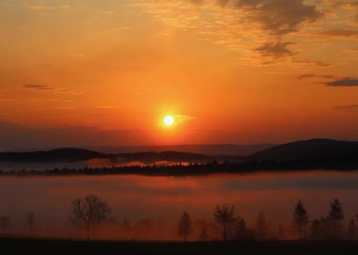 Am Kanadablick * Stutzengrun