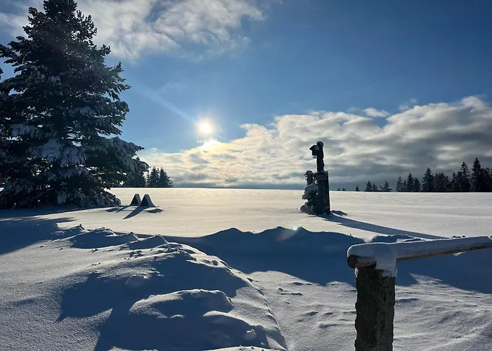 Am Kanadablick شقة